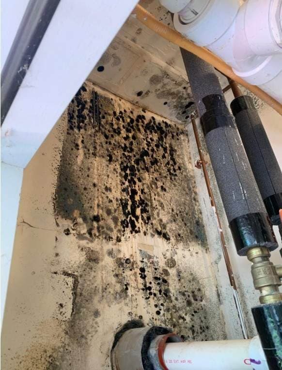 Mold Remediation in Berlin, CT