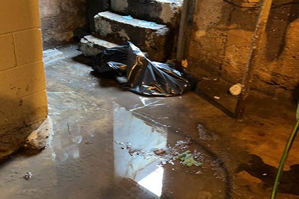 Sewage Damage Cleanup