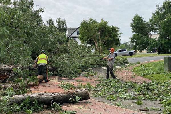 Storm Damage Cleanup
