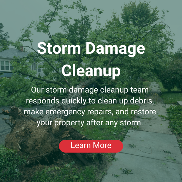 Storm Damage Cleanup